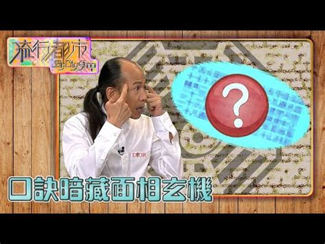 面相口訣|【面相口訣】面相口訣大全：一眼看穿人心的奧秘！